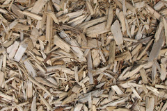 biomass boilers Radstone